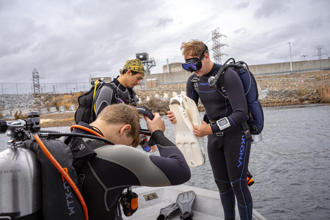 divers get ready to ride the current.