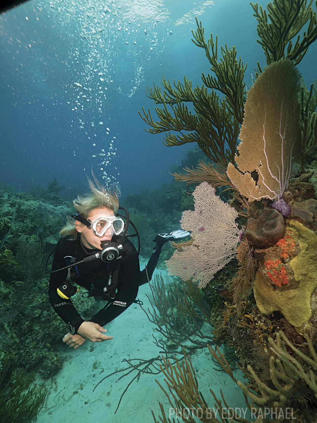 scuba diving bahamas southwest reef