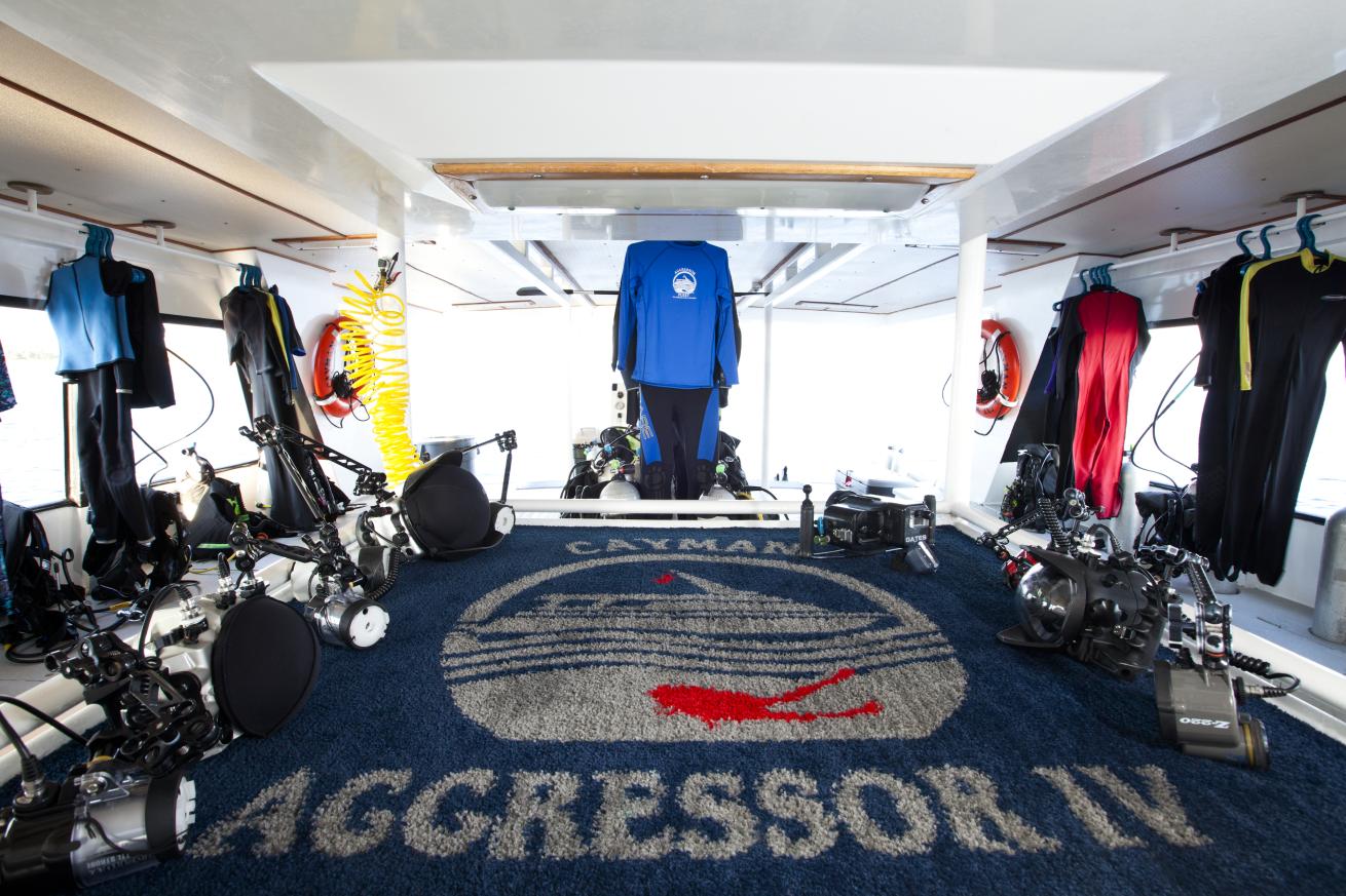 aggressor liveaboard vacations