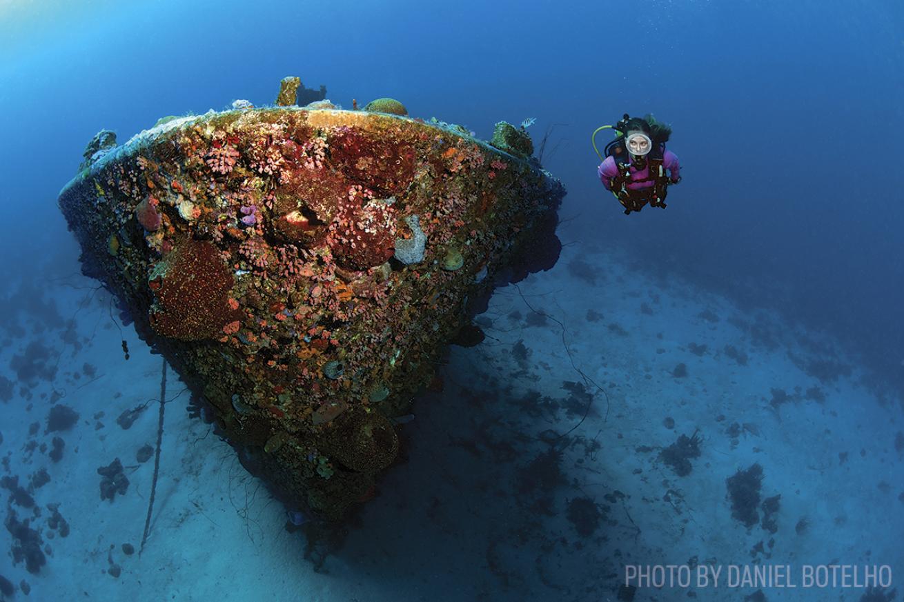 Superior Producer wreck dive in Curacao