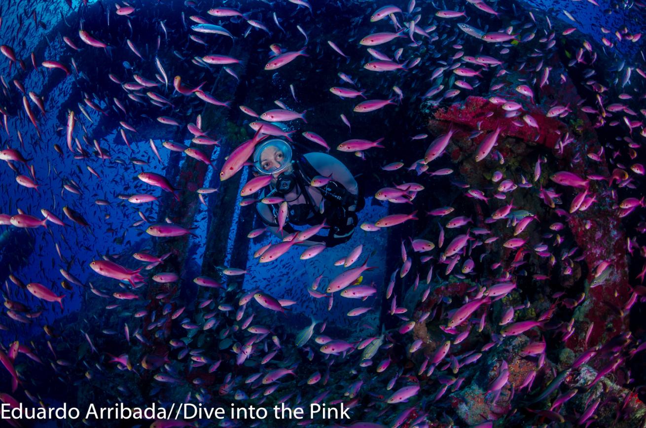 think pink photo contest