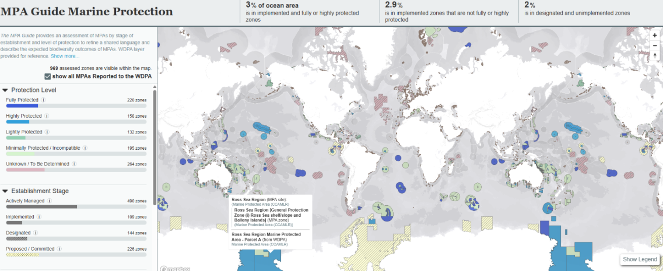 A screengrab from MPAtlas showing the state of global ocean protection as of this writing.