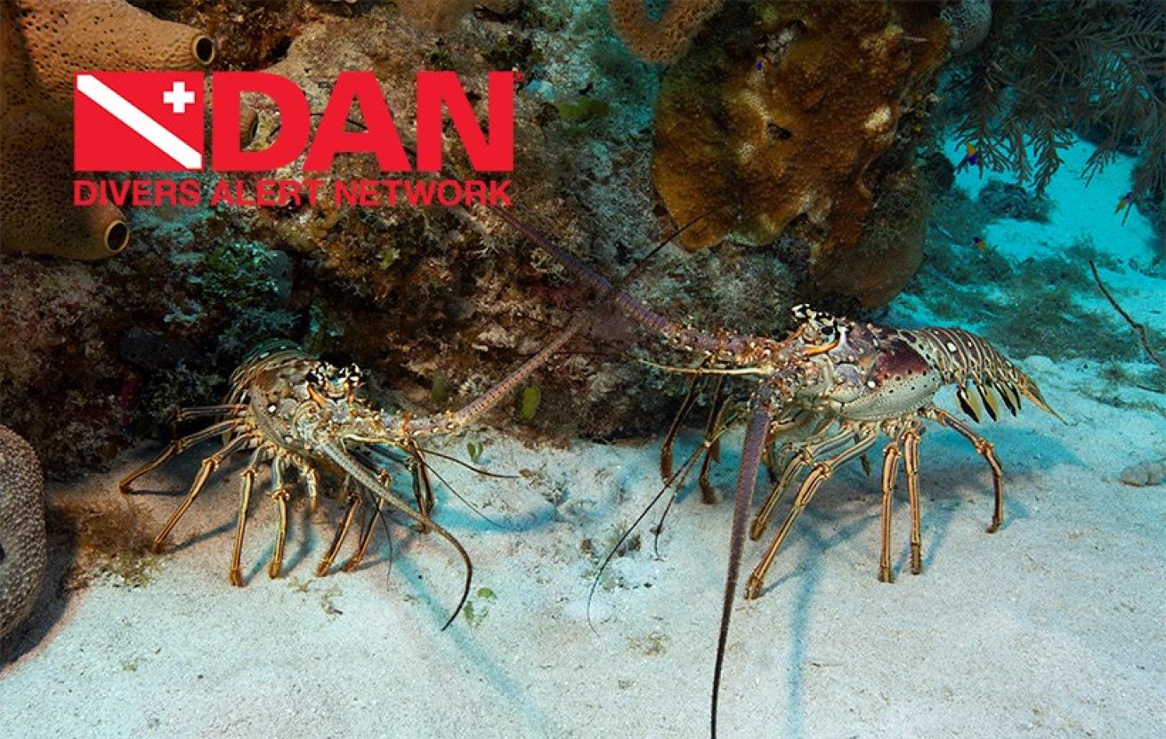lobster mini season florida