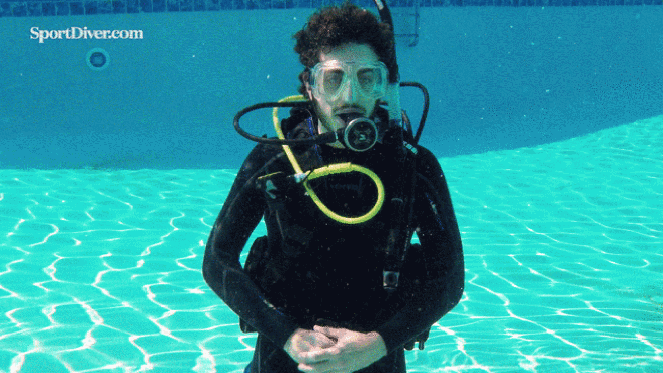 Manta Ray hand signal