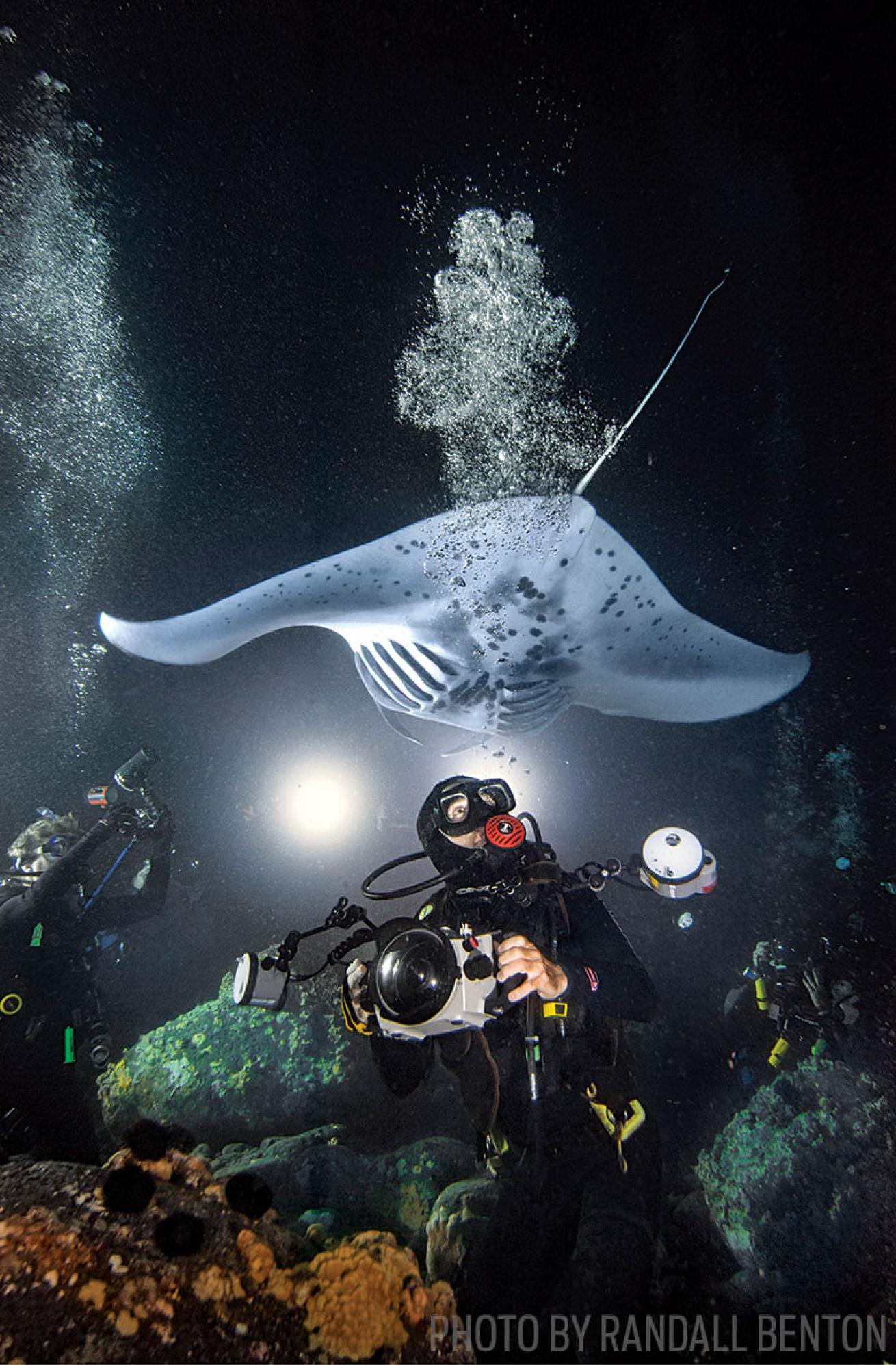 Underwater photographer night diving with manta rays.