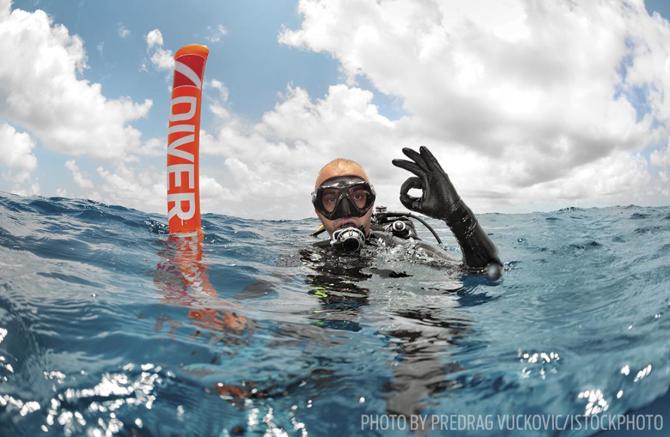 Scuba diving safety gear editor's picks