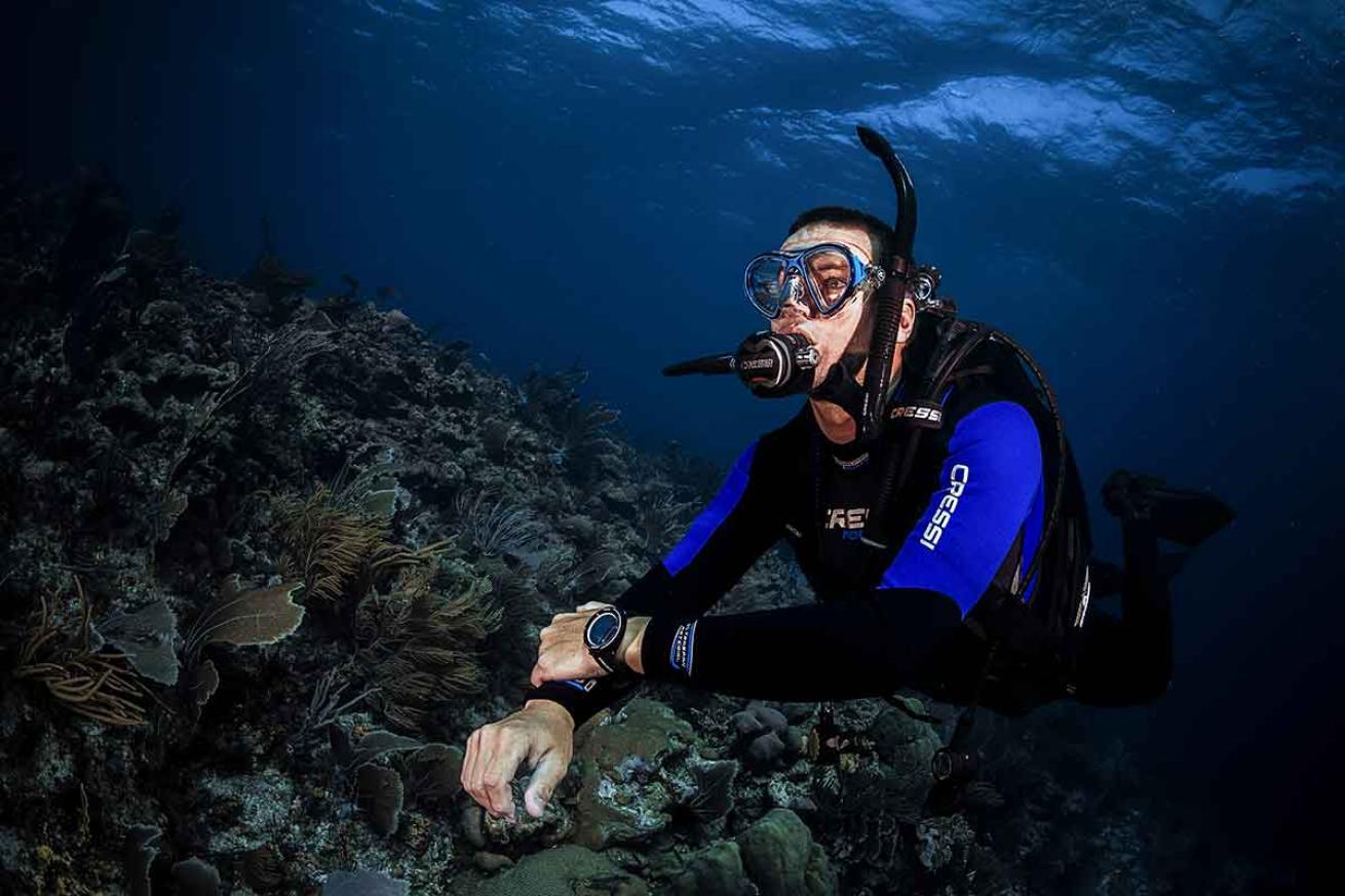 scuba diving warm water gear
