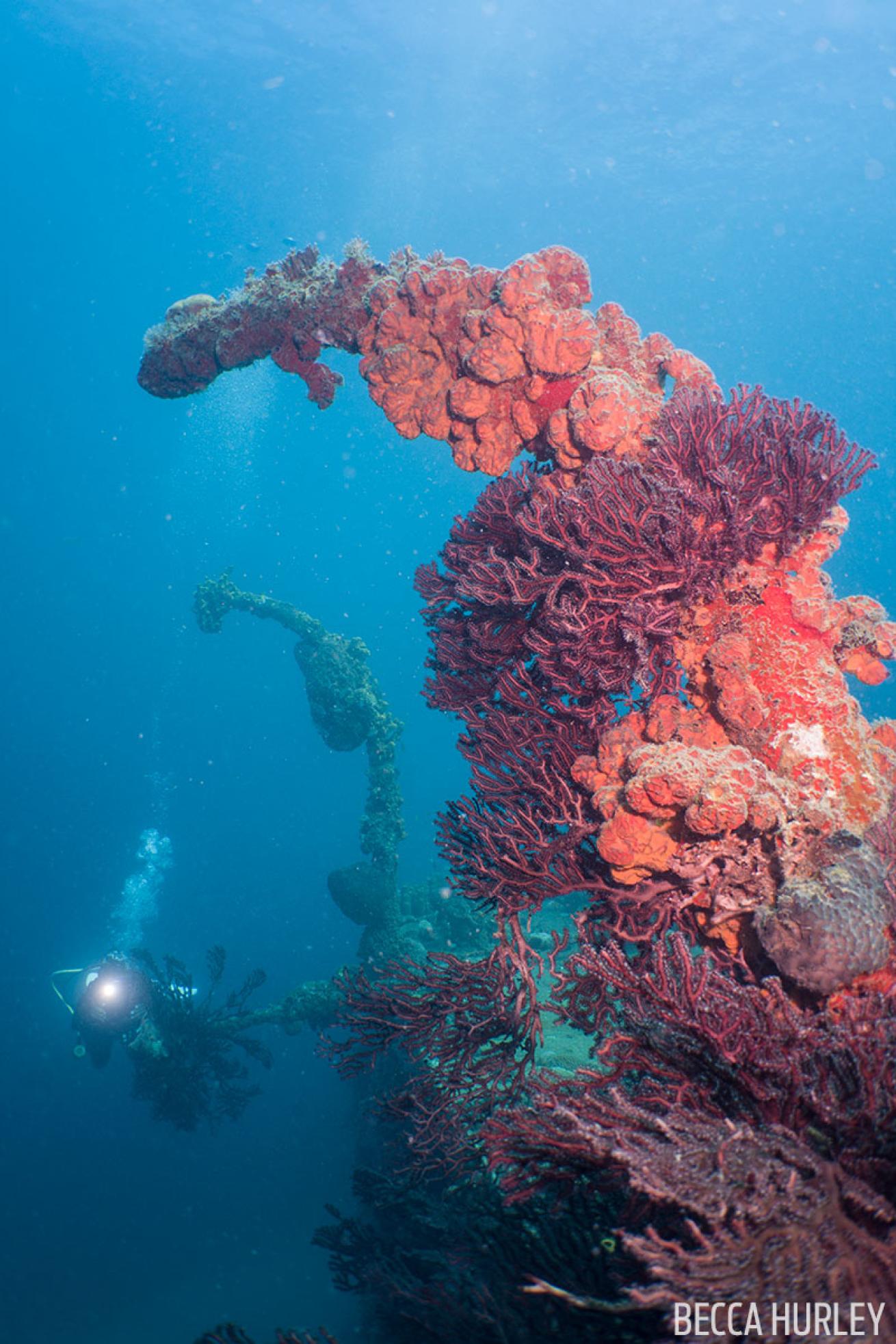 Lesleen M Shipwreck St. Lucia