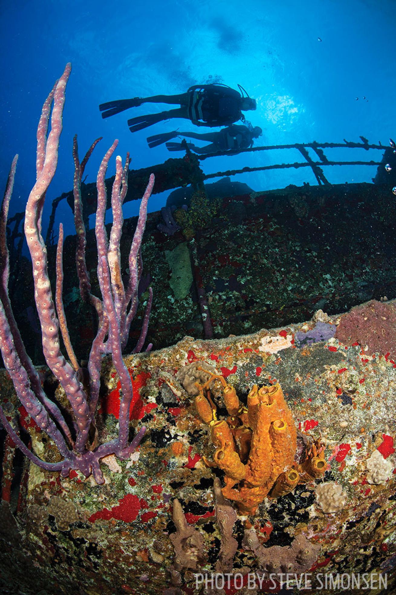 romantic scuba diving resorts 