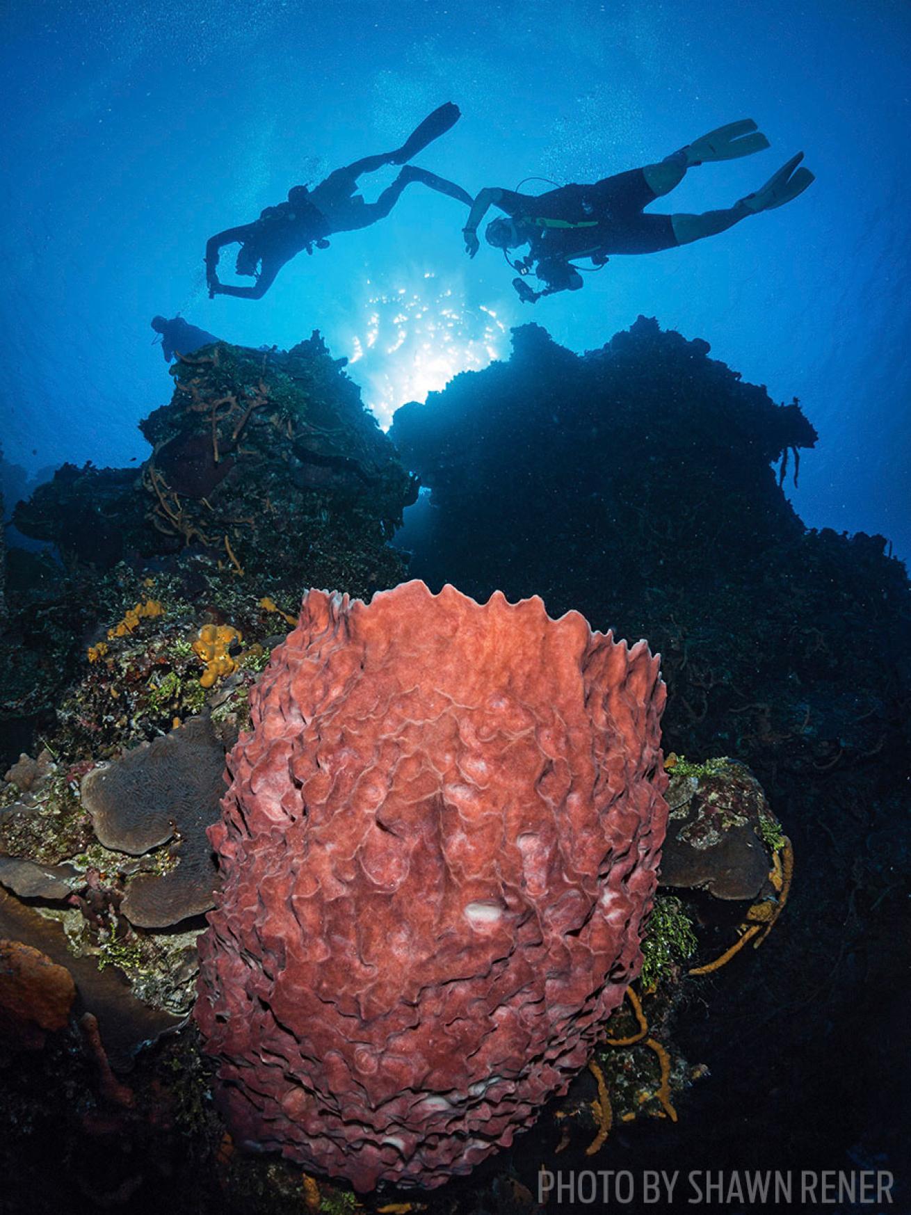 romantic scuba diving resorts 