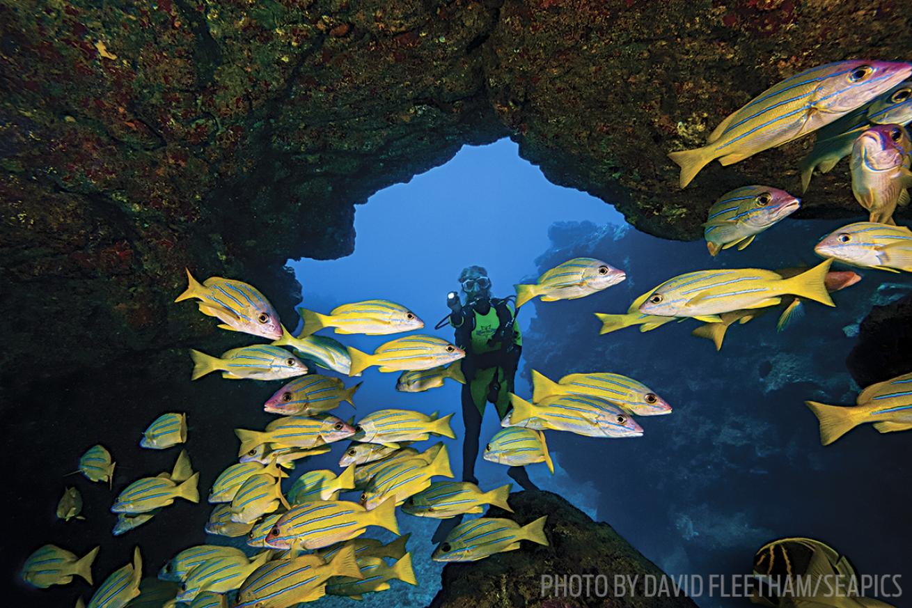 scuba diving niihau hawaii