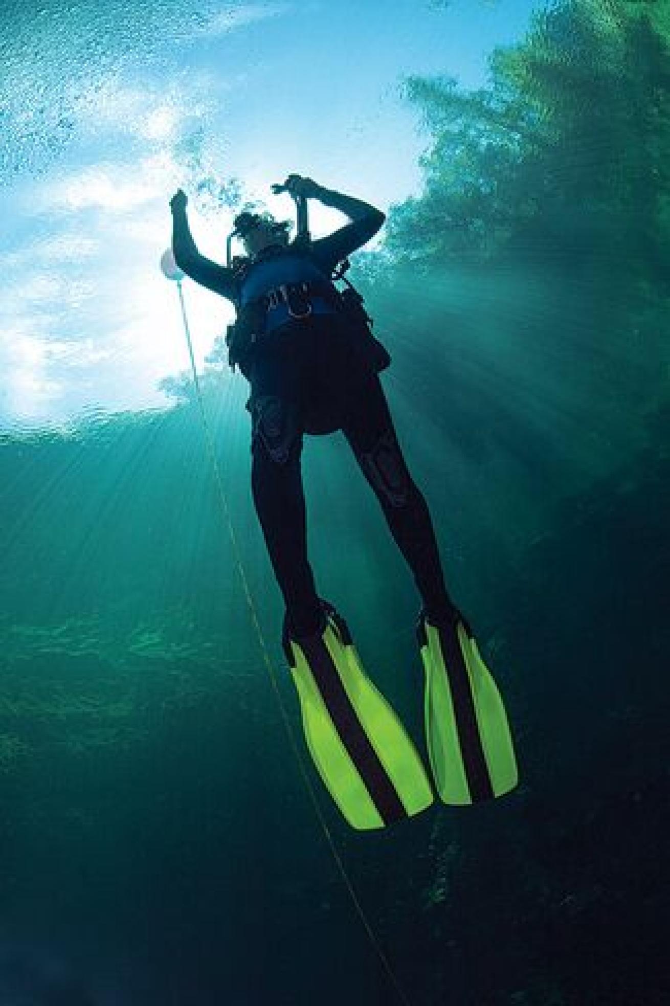 Diving Doc