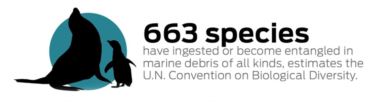 ocean litter debris facts