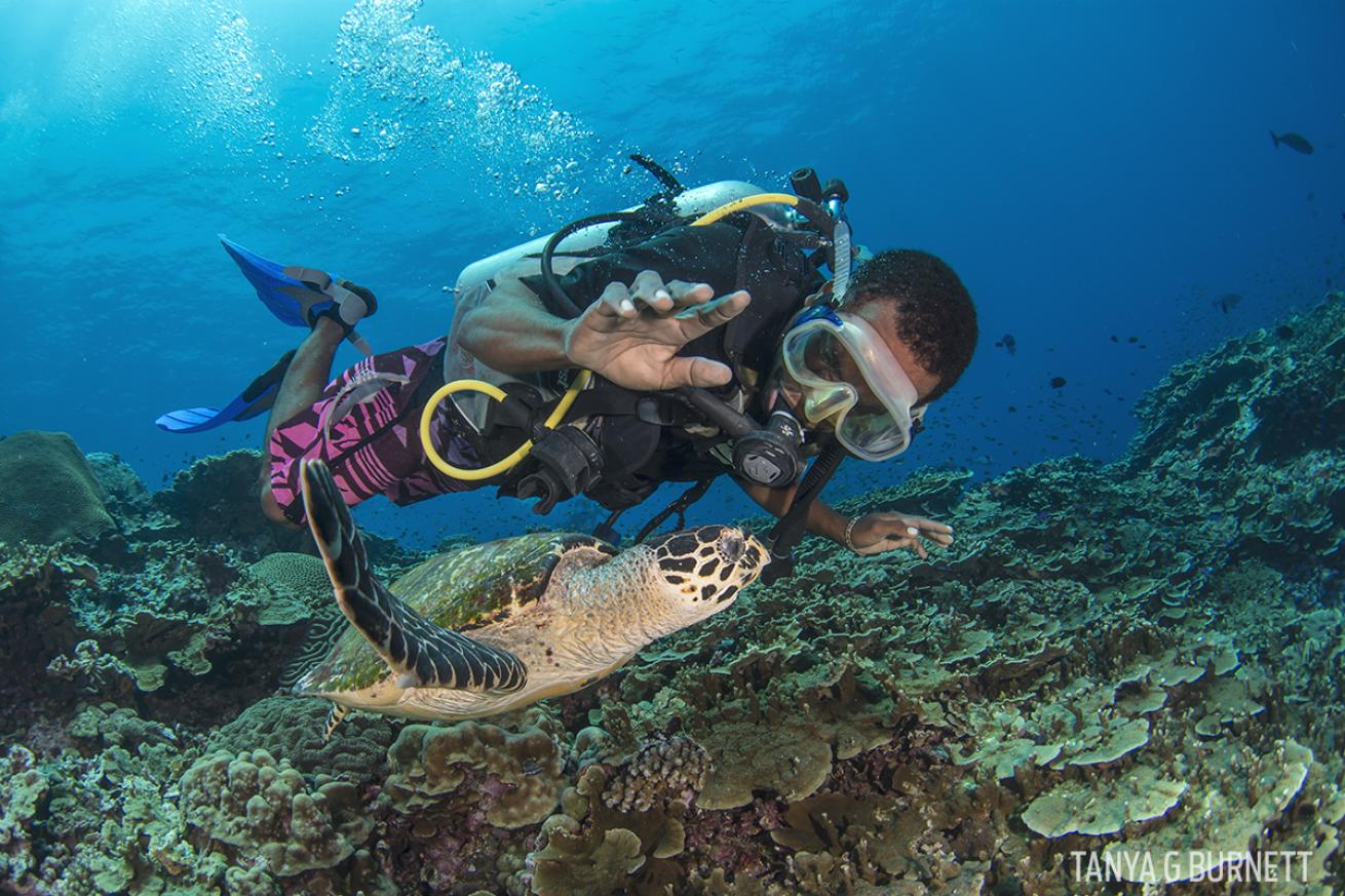 Sea Turtles Papua New Guinea