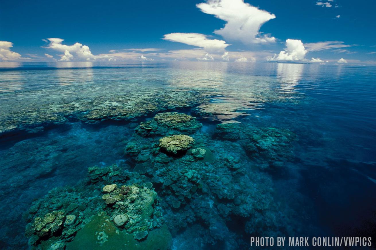 Reefs from Above