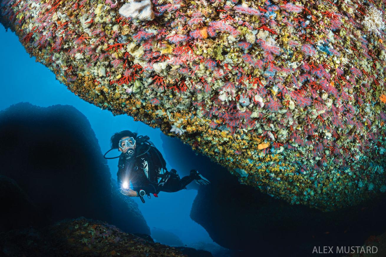 underwater photography tips