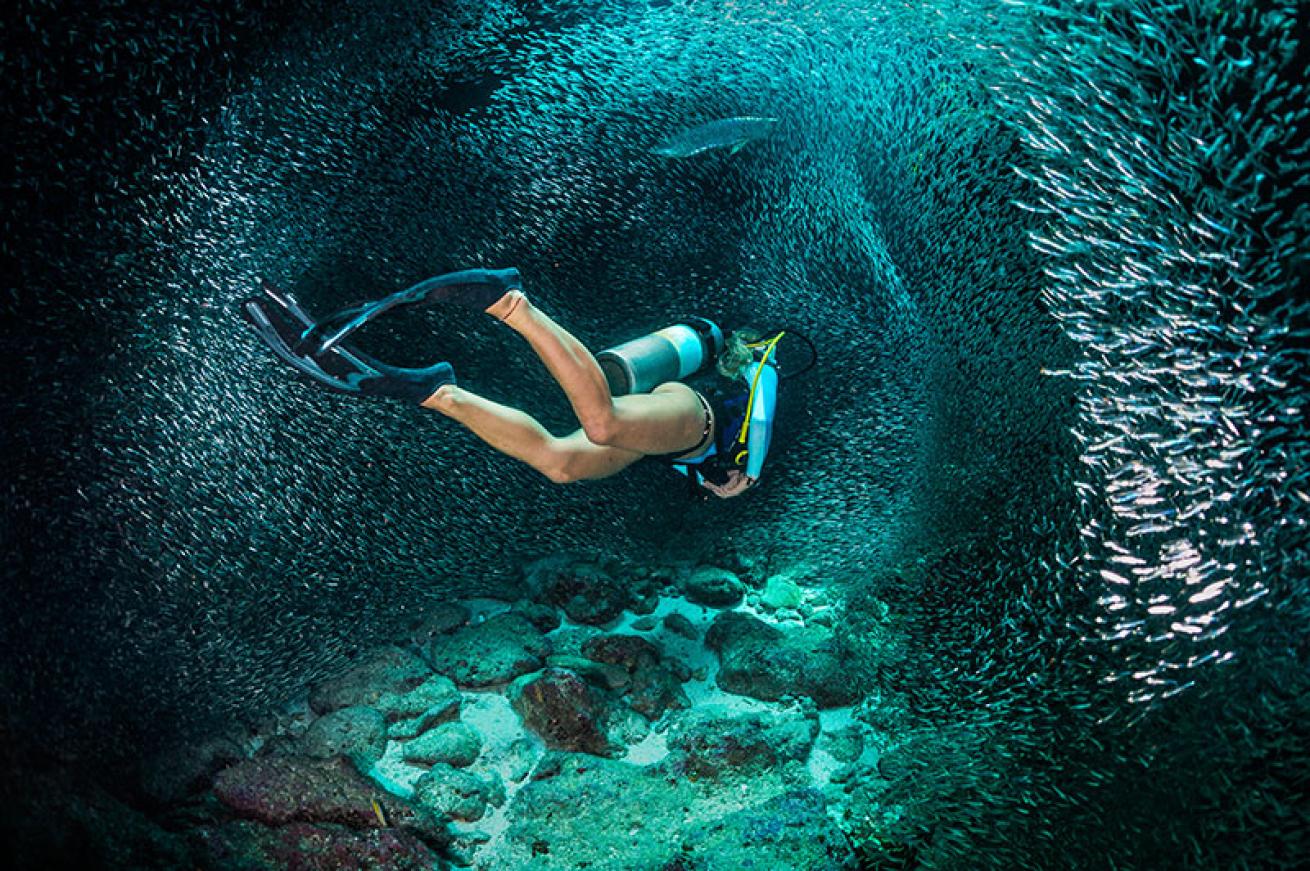 scuba diver
