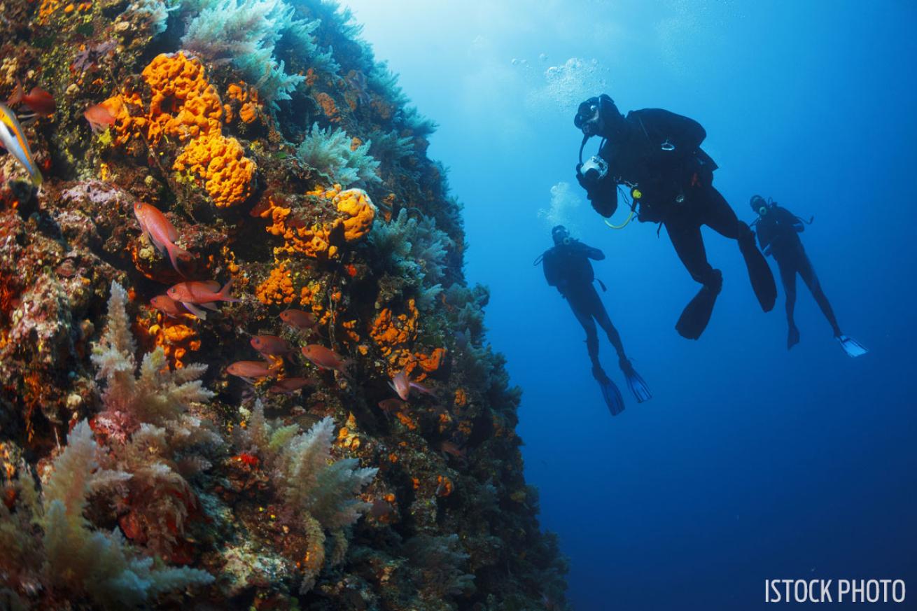 romantic scuba diving resorts 