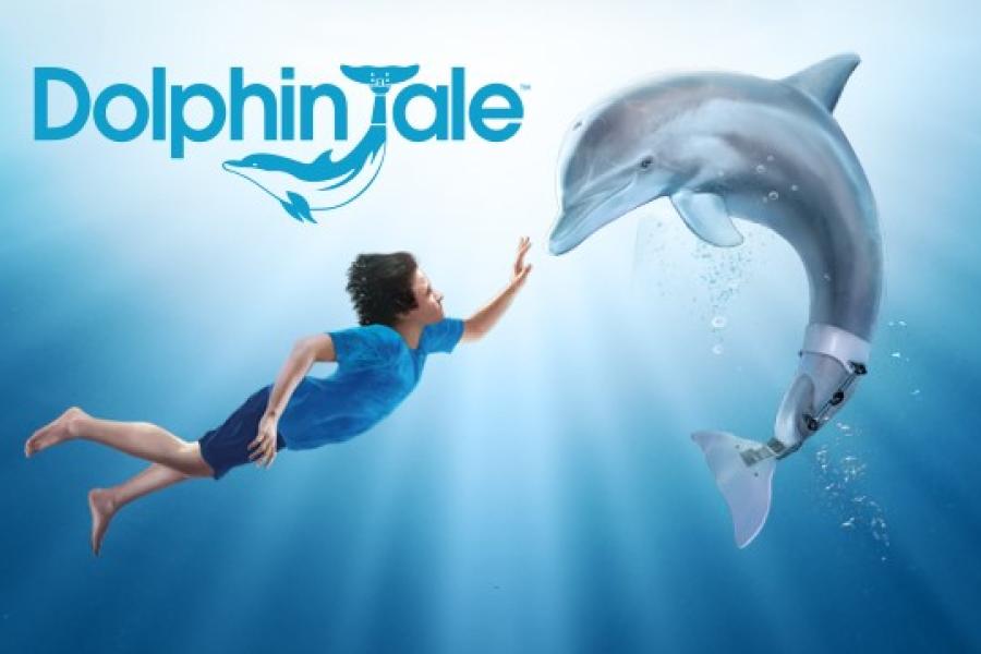 Winter, Dolphin Who Inspired 'dolphin Tale,' Dies At 16 