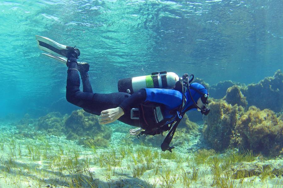 Scuba Diving in Search for Signs of a Changing Mediterranean | Scuba Diving