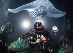 Great gear for scuba diving at night.
