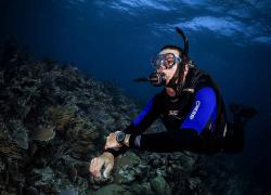 scuba diving warm water gear