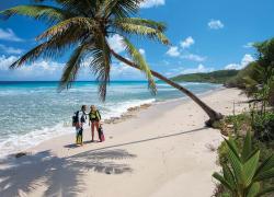 Scuba diving gear for traveling diver editors picks